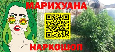 гашик Новодвинск
