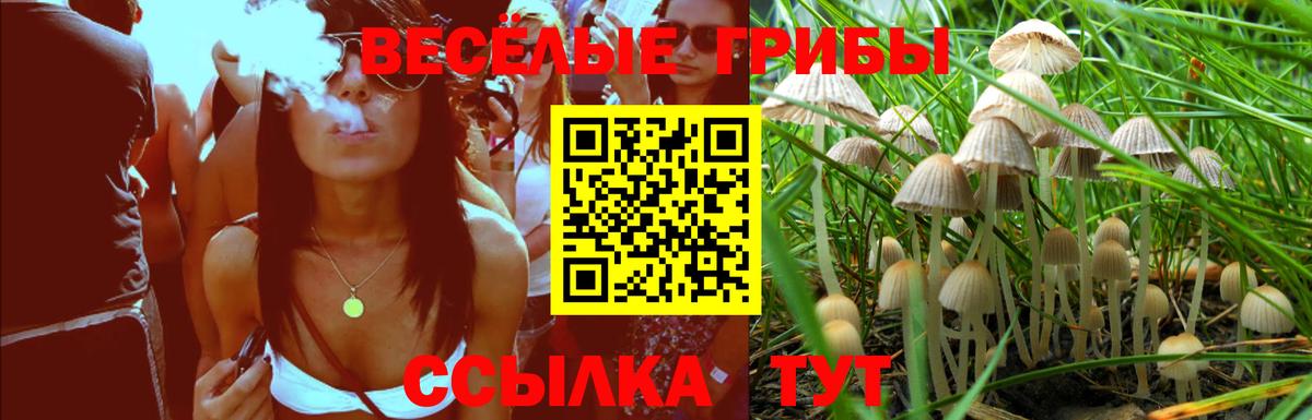 Галлюциногенные грибы мухоморы Мурманск